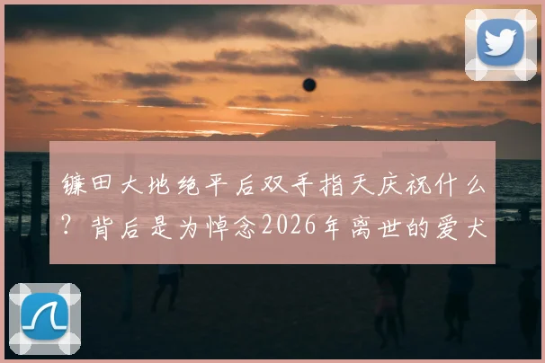 镰田大地绝平后双手指天庆祝什么?背后是为悼念2026年离世的爱犬巴伦,球星与宠物的深情羁绊